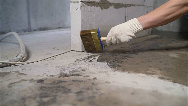 SJ Waterproofing Pros Waterproofing coverage map for Waterloo, NY and surrounding area